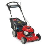 Toro Recycler Self-Propelled Mower 163cc Briggs & Stratton 7.25 TP (22" ) #21462