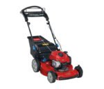 Toro Recycler SmartStow RWD Mower 150cc Briggs & Stratton 6.25 TP (22" ) #21465
