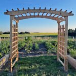 Outdoor Living Today 8' Cedar Walk-Through Garden Arbor - Image 3