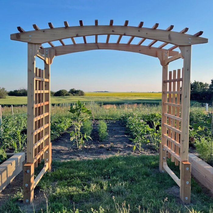 Outdoor Living Today 8' Cedar Walk-Through Garden Arbor - Image 3